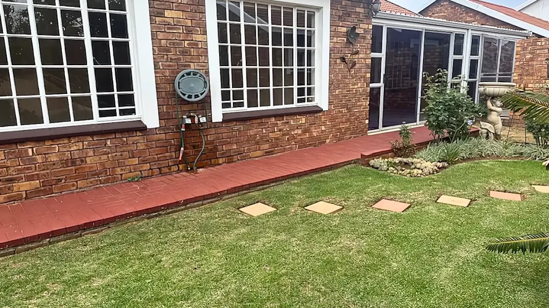 video image