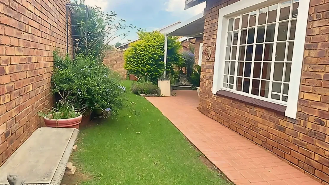 video image
