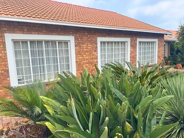 video image