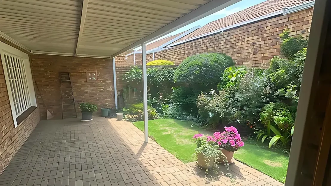 video image