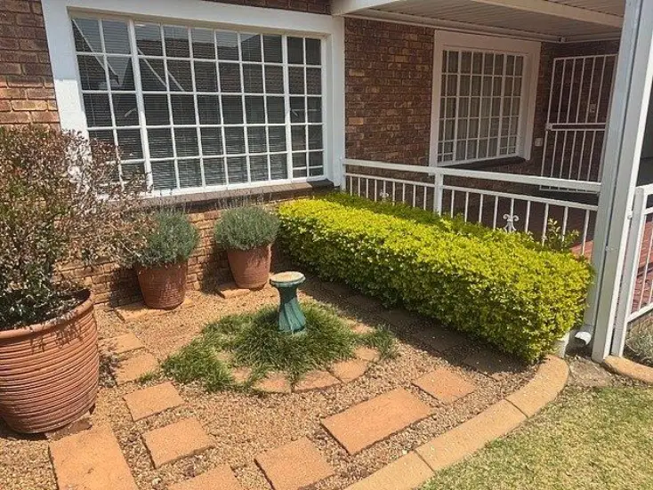 video image